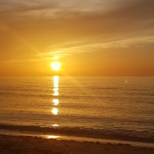 Meet your Posher, Patty